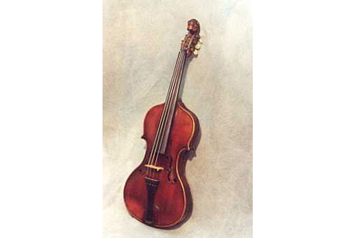 Violino a 5 corde